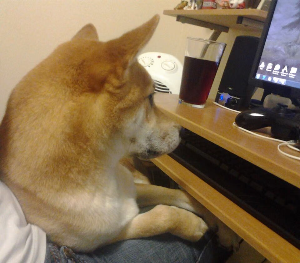 次元碰撞，当步行者的风撕裂北京队的城墙，福克斯露出冷血微笑