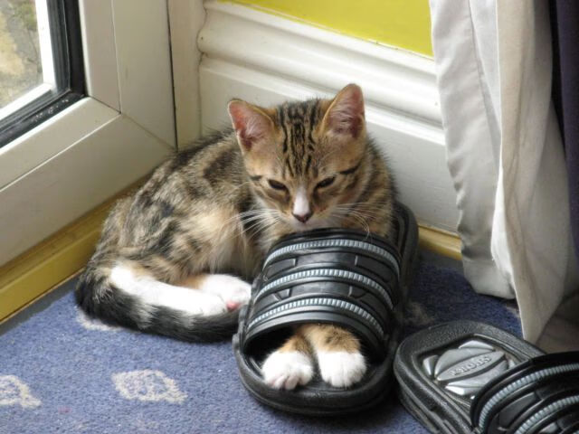 阿坎吉化身后防棋手,曼城步步为营压制土耳其狂想